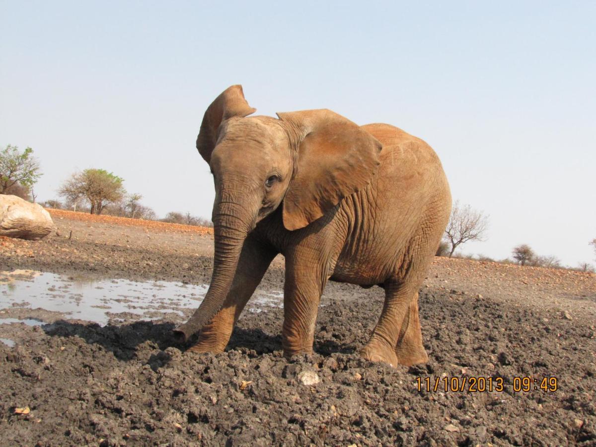 Okutala Etosha Lodge Outjo Bagian luar foto