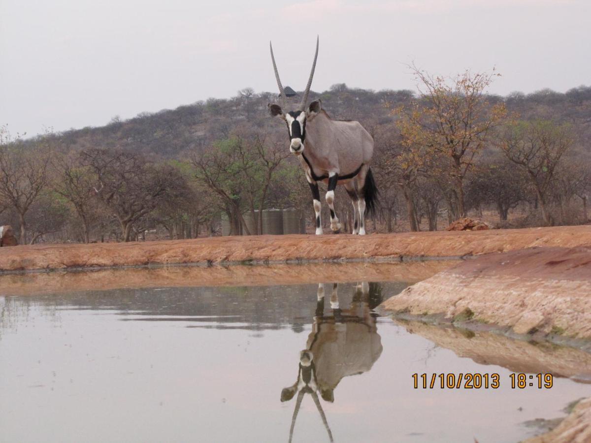 Okutala Etosha Lodge Outjo Bagian luar foto
